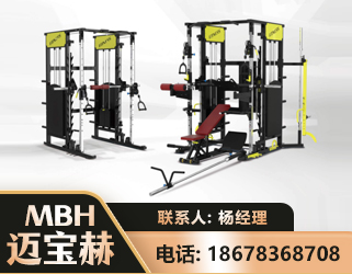 辽阳多功能综合训练器