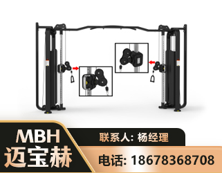 辽阳大飞鸟训练器