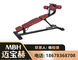 辽阳可调腹肌板